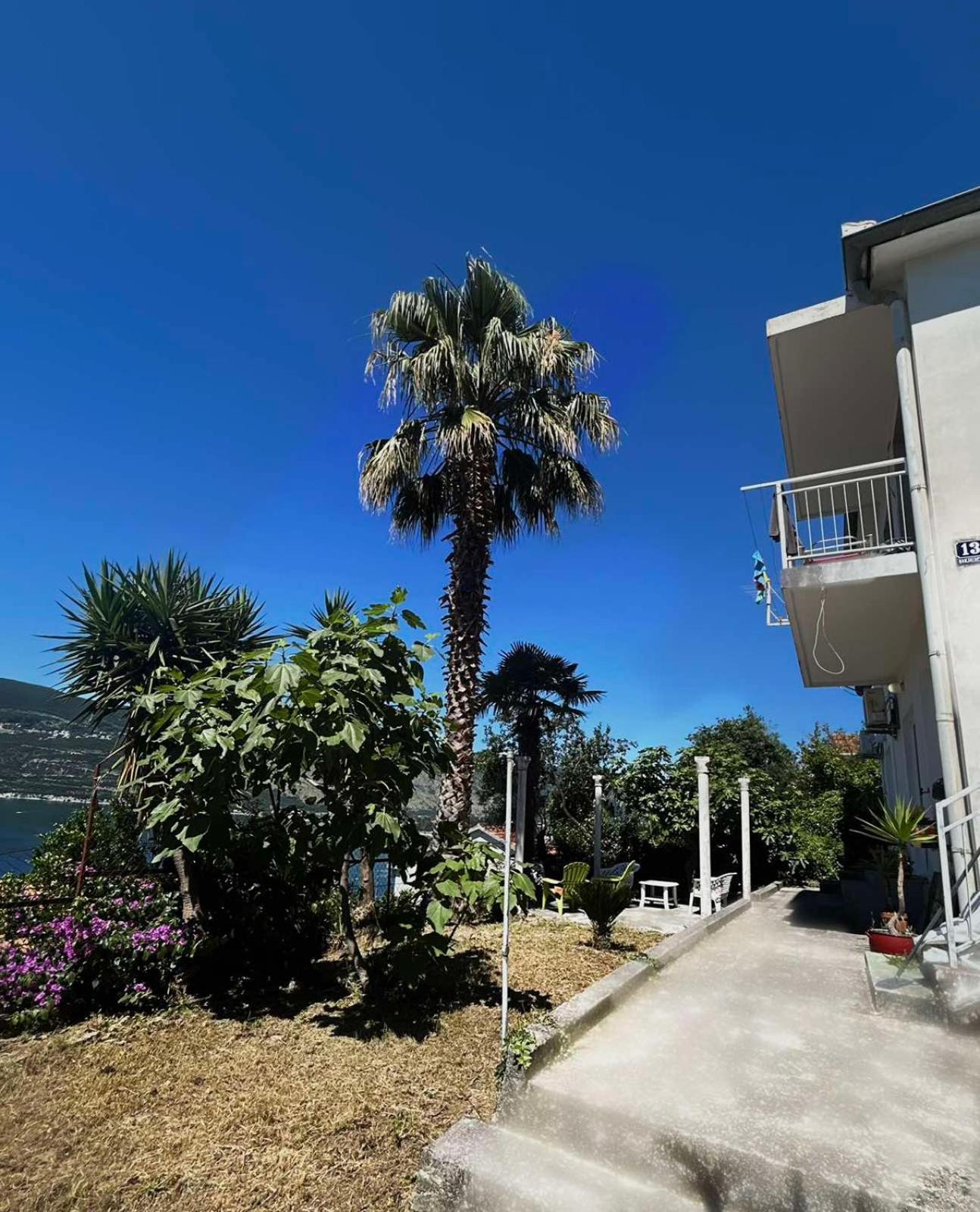 Apartments Maya Herceg Novi Kültér fotó
