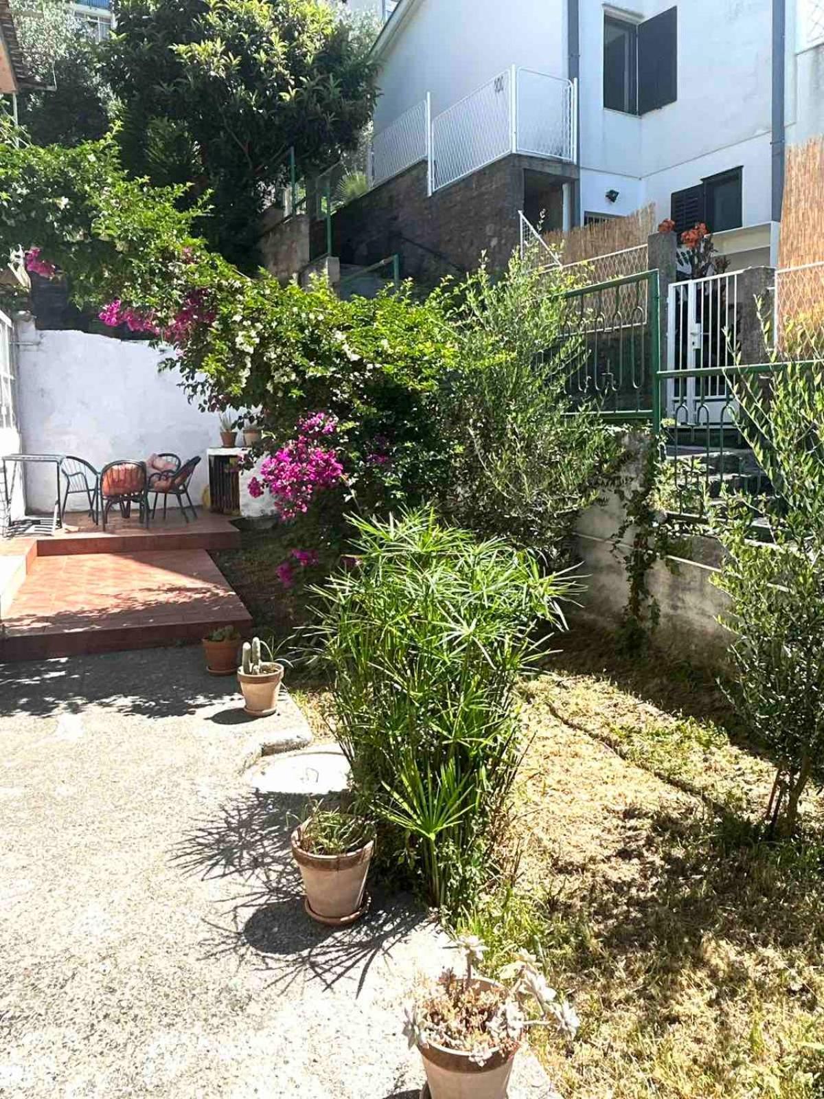 Apartments Maya Herceg Novi Kültér fotó