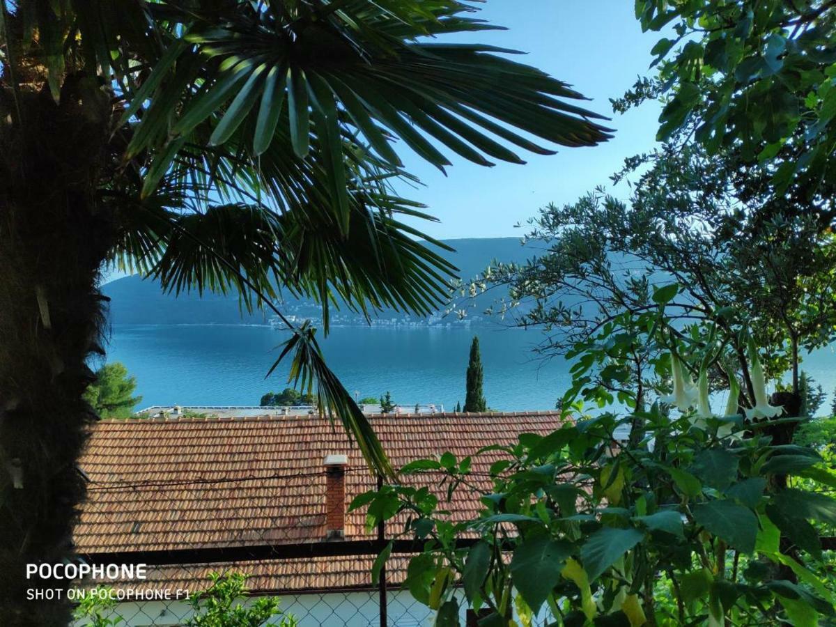 Apartments Maya Herceg Novi Kültér fotó